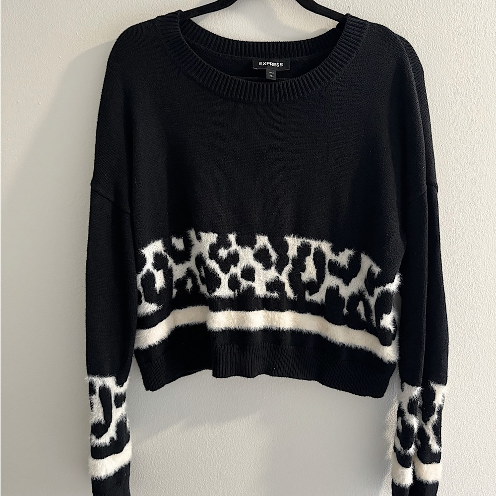 Express Cheetah Sweater